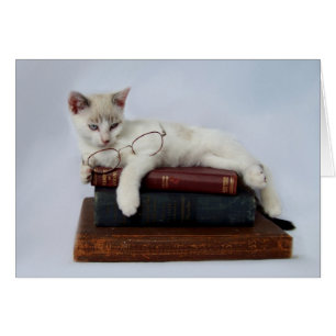 September Wild Kitten Cards