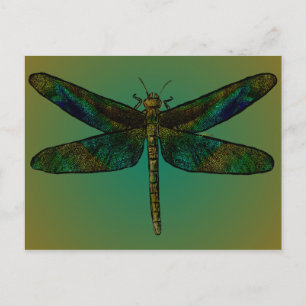 September Wing Dusk Postcard