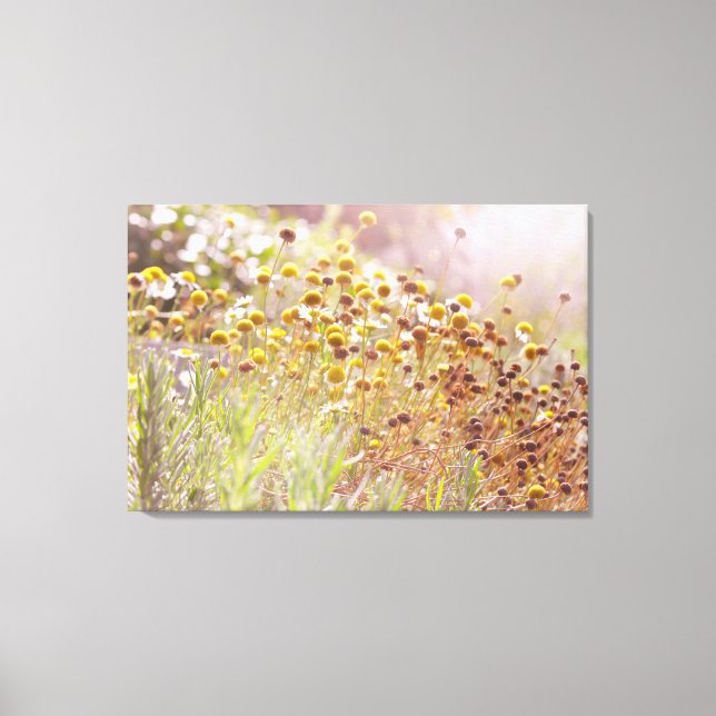 Septembers Magic Canvas Print (Front)