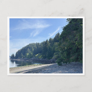 Sequallitchew Creek Trail Head Postcard