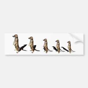 sequential ground males bumper sticker