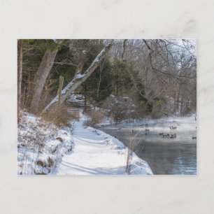 Sequiota Winter Walk Postcard