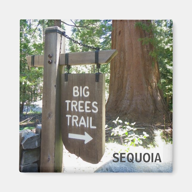 Sequoia Big Trees Trail Magnet! Magnet (Front)