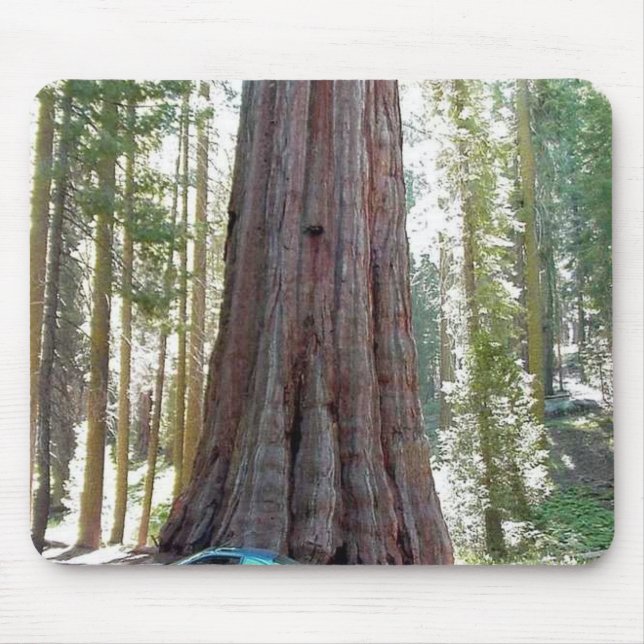 Sequoia Car Tree Mouse Mat (Front)