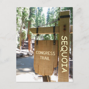 Sequoia/Congress Trail Postcard! Postcard