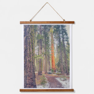 Sequoia in the Forest Hanging Tapestry