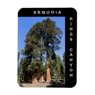Sequoia Kings Canyon Magnet