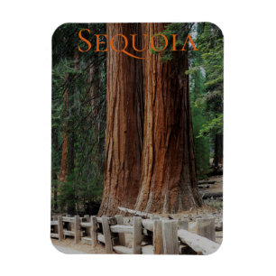 Sequoia/Kings Canyon National Park Magnet