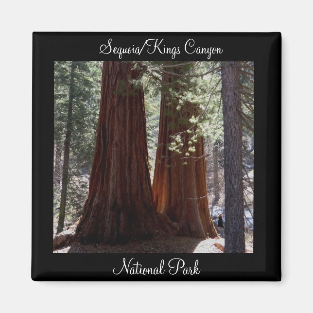 Sequoia/Kings Canyon National Park Magnet (Front)