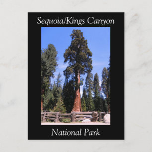 Sequoia Kings Canyon National Park Postcard