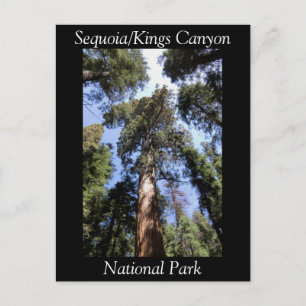 Sequoia Kings Canyon National Park Postcard
