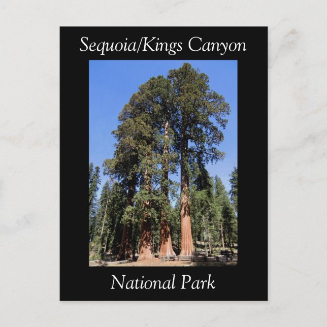 Sequoia Kings Canyon National Park Postcard (Front)
