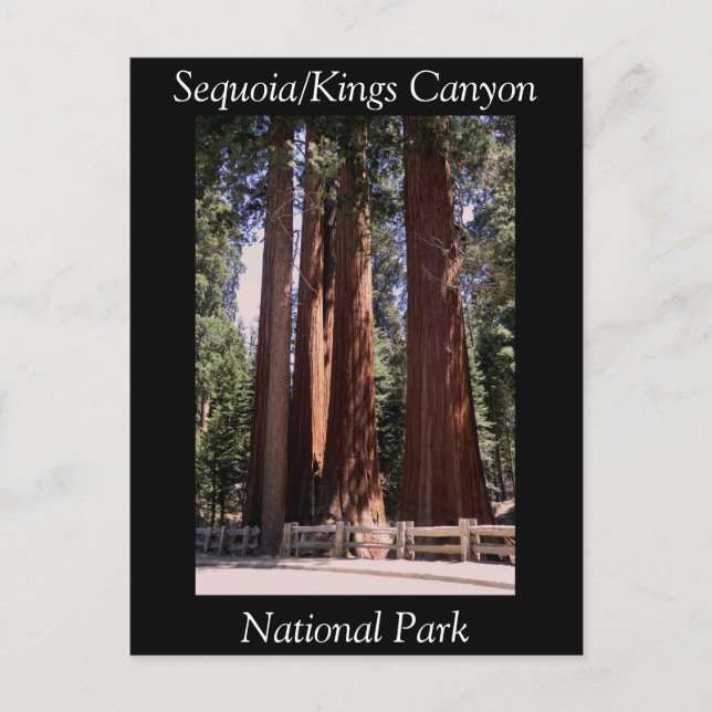 Sequoia Kings Canyon National Park Postcard (Front)