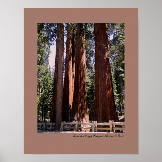 Sequoia/Kings Canyon National Park Poster (Front)