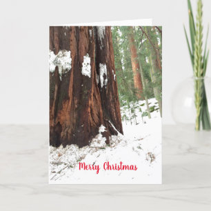 Sequoia Merry Christmas Greetings Card