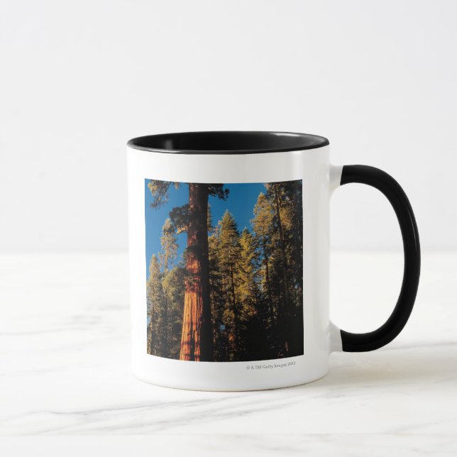 Sequoia National Park , California 2 Mug (Right)