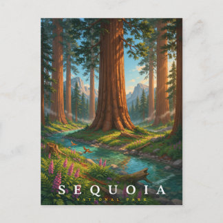 Sequoia National Park California Forest Travel Postcard