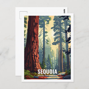 Sequoia National Park California USA  Postcard