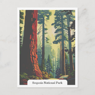 Sequoia National Park, California USA Postcard