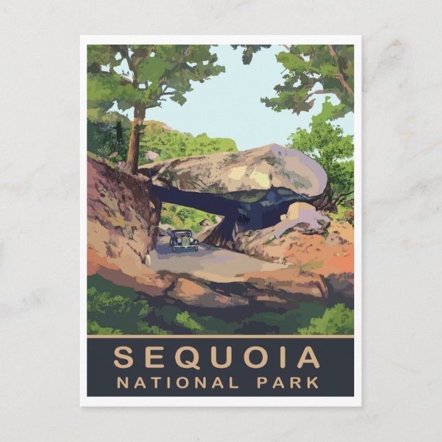 Sequoia, National Park, California, Vintage Travel Postcard (Front)