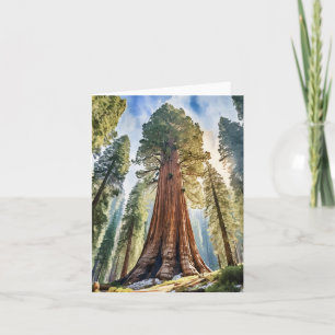 Sequoia National Park California Watercolor Card