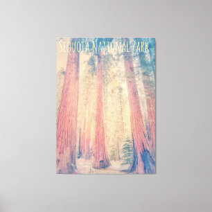 Sequoia National Park Canvas Print