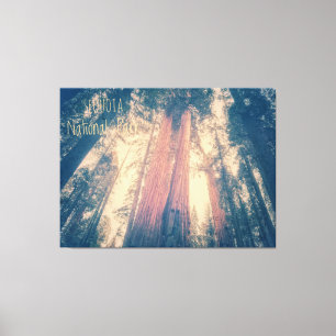 Sequoia National Park Canvas Print