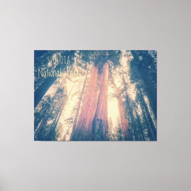 Sequoia National Park Canvas Print (Front)