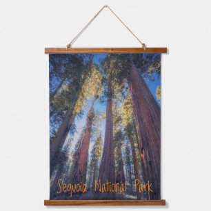 Sequoia National Park Forest Hanging Tapestry