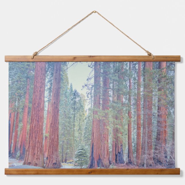 Sequoia National Park Forest Landscape Hanging Tapestry (Front)