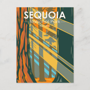 Sequoia National Park Giant Sequoia Trees Postcard