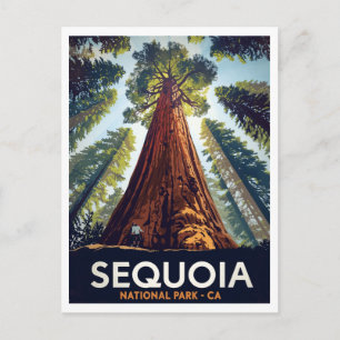 Sequoia National Park Giant Trees Postcard