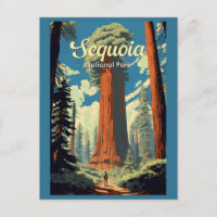 Sequoia National Park Illustration Retro