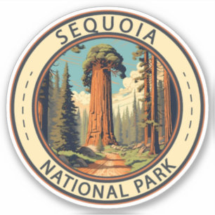 Sequoia National Park Illustration Travel Art