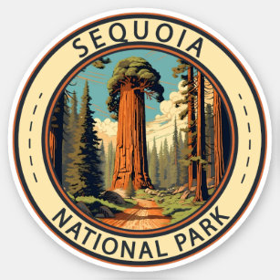 Sequoia National Park Illustration Travel Art