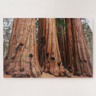 Sequoia National Park Jigsaw Puzzle