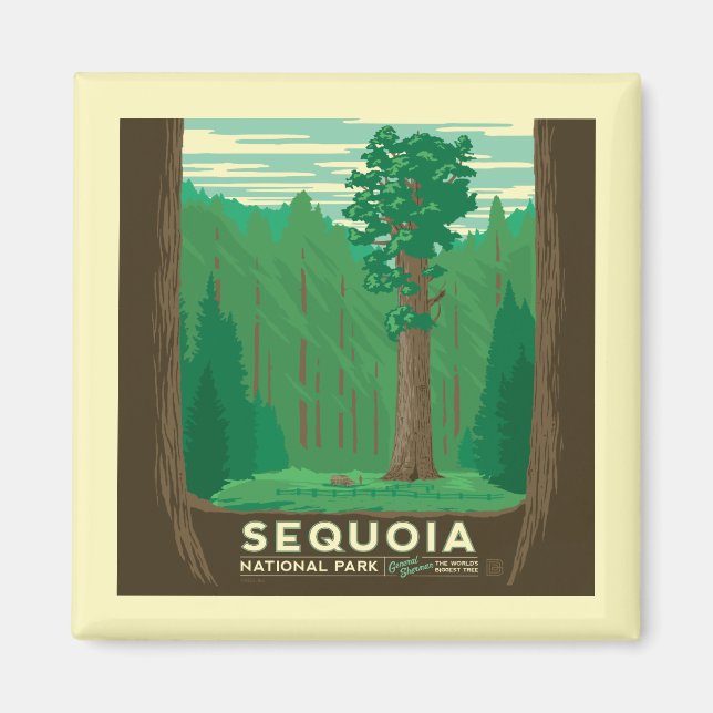 Sequoia National Park Magnet (Front)
