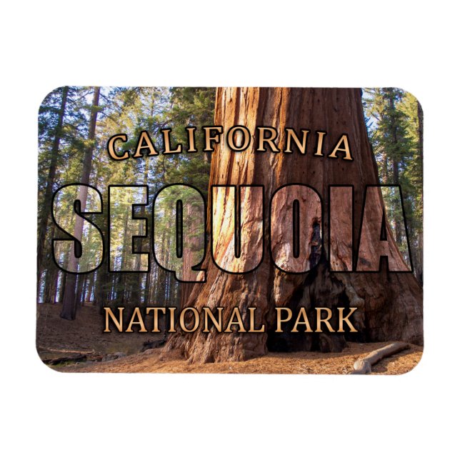 Sequoia National Park Magnet (Horizontal)