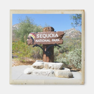 Sequoia National Park Magnet! Magnet