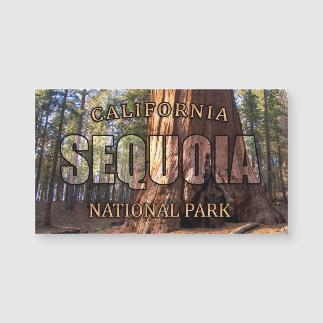 Sequoia National Park Magnetic Card (Front)