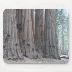Sequoia National Park Mouse Mat