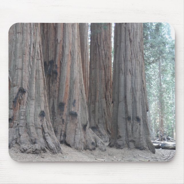 Sequoia National Park Mouse Mat (Front)