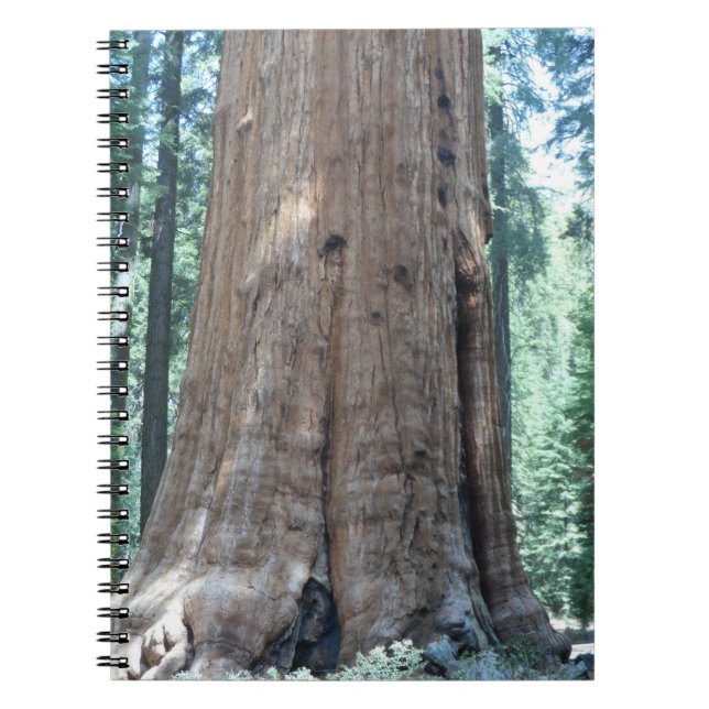 Sequoia National Park Notebook (Front)