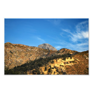 Sequoia National Park Photo Print