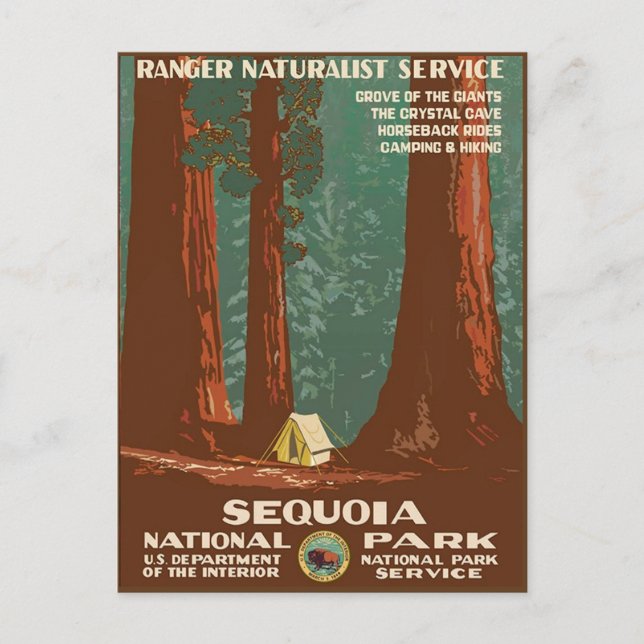 Sequoia National Park Postcard (Front)