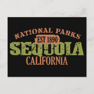 Sequoia National Park Postcard