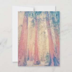 Sequoia National Park Postcard