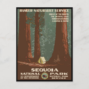 Sequoia National Park Postcard