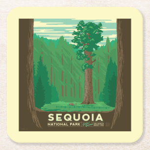 Sequoia National Park Square Paper Coaster