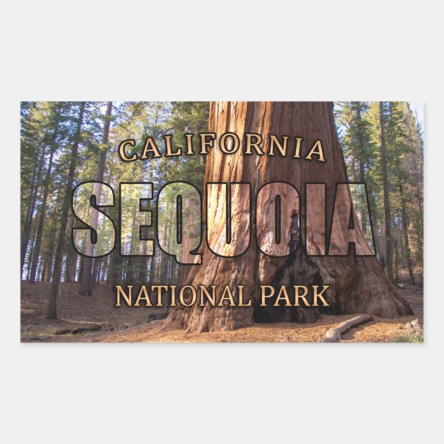 Sequoia National Park Sticker (Front)